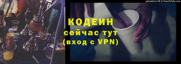 сатива Беломорск