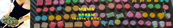 сатива Беломорск