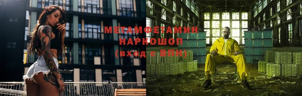 сатива Беломорск