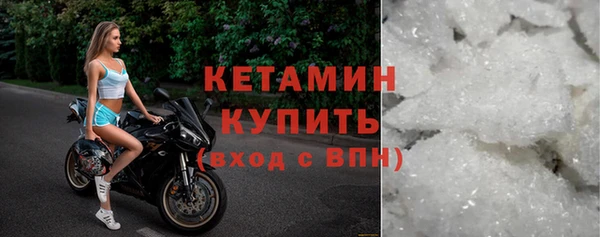 сатива Беломорск